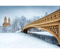 Fmarui 10x8ft Winter Photography Backdrop Bow Bridge in Central Park Backgrounds Winter Outdoor Landscape Christams Party Decortaions Photo Booth Props