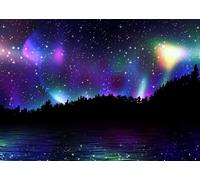Fmarui 12x8ft Northern Lights Photography Backdrop Aurora Borealis in The Sky Over The Night Forest Background Home Decor Photo Booth Studio Props