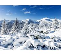 Fmarui 20x10ft Winter Snow Wonderland Backdrop | White Snowy Pine Forest Mountain Scene for Christmas, Holiday, Birthday Party Decorations | Wintry Photography Background, Photo Booth Banner Props