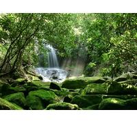 Fmarui 5x3ft Rainforest Backdrop Natural Scenery Waterfall Tropical Jungle Forest Photography Background Kids Adults Party Decoration Photo Booth Props