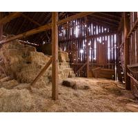 Fmarui 7x5ft Western Barn Backdrop Nativity Scene Old Stable Rustic Manger with Straw Bales Haystack, Farmhouse Christmas Party Decor, Newborn Photoshoot Props, Kids Nativity Decoration
