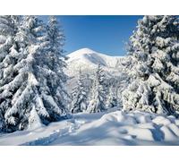 Fmarui 7x5ft Winter Snow Forest Backdrop | Snowy Pine Tree Photography Background for Christmas, Holiday, Birthday Party Decorations | White Wintry Wonderland Scene Photo Booth Banner Props