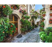 Fmarui Italian Themed Party Backdrop 5x3ft- Spello Flower Town Street Scene | Italy Narrow Alley Background for Birthday, Wedding,Party Decoration Photo Props