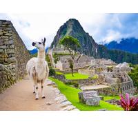 Fmarui Machu Picchu Backdrop for Photography Lost City Ruins Peru Travel Backgrounds Party Decor Photoshoot Props, 9X6FT