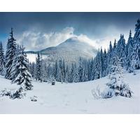 Fmarui Winter Scene Backdrop 10x8ft Wonderland Pine Forest with Frost Covered Trees Snowy Mountains for Christmas, New Year Party, Holiday Photo Studio Props