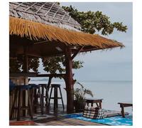 FMLCLSTJM Synthetic Straw Thatch Roofing For Outdoor Tiki Bar, Gazebo, Balcony Shade, Patio Umbrella Decor, Artificial Palm Leaves For Tropical Roof Design(0.5m x 2m)