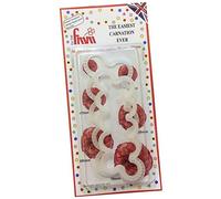 FMM 'The Easiest Carnation Ever' Cutters (2 Piece Set), White (CUTECARNEV)