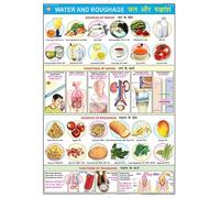 FN07 | TeachingNest | Water & Offal Board (70 x 100 cm) | Food & Nutrition Chart | Paste on Wall | English - Hindi Combined [Wall Board] Teaching & Feeding & Charts
