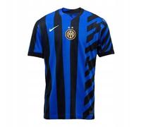 FN8787-440 Nike Dri FIT Inter Milan Stadium 2024 25 Cotton Top T-Shirt