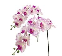 Fnize Faux Orchid Stems Artificial Flowers Phalaenopsis 38 Inch 2pcs Real Touch Latex 9 Large Petals Purple Pattern