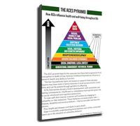 FNYUVNFAF ACEs Pyramid Poster Adverse Childhood Experiences Psychology Educational Wall-Art for Therapist Office Counseling Room and Social Work Framed,16x24inch(40x60cm)