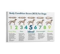FNYUVNFAF Animal Hospital Decor Dog Body Condition Score Chart BCS Poster Educational Wall-Art for Veterinary Clinic and Pet Care Framed,16X24inch(40X60cm)