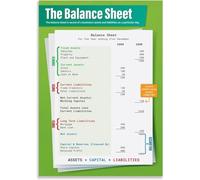 FNYUVNFAF Balance Sheet Educational Poster - Accounting Basics Chart for Business Classroom Decor Unframed,08x12inch(20x30cm)