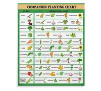 FNYUVNFAF Companion Planting Chart Canvas Print, Basic Garden Plant Reference Guide Poster, Wall Art Decor for Gardener's Office, Living Room, Bedroom Framed,12x18inch(30x45cm)