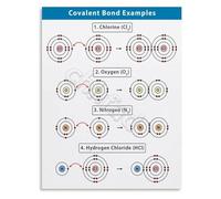 FNYUVNFAF Covalent Bond Examples Chart Chemistry Visual Learning Guide Educational Science Poster for School Study Unframed,12x18inch(30x45cm)