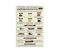 FNYUVNFAF Digestive Health Education - Bristol Stool Scale Canvas Wall-Art for Clinic Classroom Bathroom Decor Unframed,08x12inch(20x30cm)