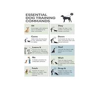 FNYUVNFAF Dog Obedience Training Commands Chart Essential Guide for Pet Owners Wall-Art Home Decor for Dog Lovers and Owners Framed,08X12inch(20X30cm)