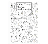 FNYUVNFAF Eastern North America Wildlife Tracks, Animal Footprint Identification Guide, Educational Nature Poster for Children's Room, School Science Decor Framed,16x24inch(40x60cm)