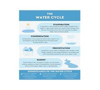 FNYUVNFAF Elementary School Science Poster Water Cycle Educational Diagram Classroom Decor Wall-Art for Homeschool Study Room(Framed,16X24inch(40X60cm))