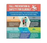 FNYUVNFAF Fall Risk Reduction Poster Visual Audit for the Elderly Home Room by Room Tips Canvas Print for Senior Center or Clinic Unframed,16x24inch(40x60cm)