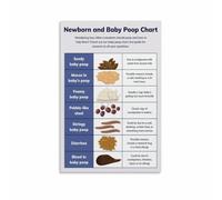 FNYUVNFAF Infant Bowel Movement Chart Poster Poop Color Meaning Guide Educational Wall-Art for Parent Room Living Room Bedroom Decor Unframed,16x24inch(40x60cm)