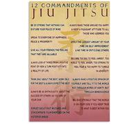 FNYUVNFAF Jiu Jitsu Belt System Educational Poster BJJ Martial Arts Knowledge Wall-Art for Training Room Decor Framed,16x24inch(40x60cm)