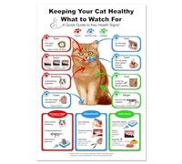 FNYUVNFAF Keeping Your Cat Healthy Chart Veterinary Reference Feline Anatomy Poster Cat Care Guide Educational Wall-Art for Pet Owners Unframed,16x24inch(40x60cm)