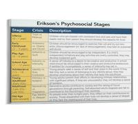 FNYUVNFAF Lifespan Development Stages Educational Poster Identity Formation Theory Visual Aid Wall Decor for Social Worker Office Unframed,12x18inch(30x45cm)