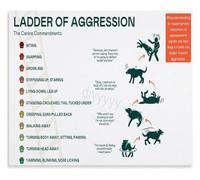 FNYUVNFAF Understanding Dog Behavior Canine Ladder Of Aggression Chart Canvas Wall-Art(Unframed,16x24inch(40x60cm))