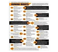 FNYUVNFAF Vintage Human Rights Charter Poster - Universal Declaration Canvas Art, Historical Document Decor for Library or Study Unframed,16x24inch(40x60cm)