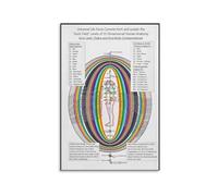FNYUVNFAF Yoga Studio Wall Decor Poster - System & Human Anatomy Educational Chart with Aura Field, Colorful Canvas Art for Space Unframed,16x24inch(40x60cm)
