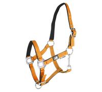 Foal halter with double adjustment Supreme