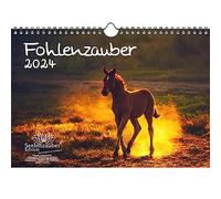 Foal Magic DIN A4 Calendar for 2024 Horses and Foals Seelenzauber