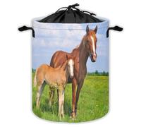 Foal Mare On Summer Pasture Laundry Hampers With Drawstring Horse Laundry Baskets For Bathroom Farmhouse Portable Clothes Storage Organizer Basket Farm Animals W 35 L 44 Cm