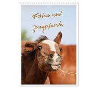 Foals and young horses UK-Version (Wall Calendar 2026 DIN A3 Portrait), CALVENDO 12 Month Wall Calendar