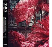 Foals - Everything Not Saved Will Be Lost Part 1 - Vinyl Record - G3z