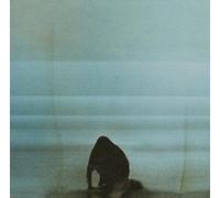 Foals - FOALS - WHAT WENT DOWN : STANDARD EDITION