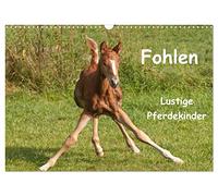 Foals - Funny horse kids UK-Version (Wall Calendar 2026 DIN A3 Landscape), CALVENDO 12 Month Wall Calendar