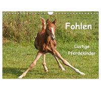 Foals - Funny horse kids UK-Version (Wall Calendar 2026 DIN A4 Landscape), CALVENDO 12 Month Wall Calendar