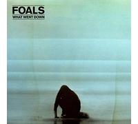Foals – What Went Down – CD+DVD – Deluxe Edition (2015)