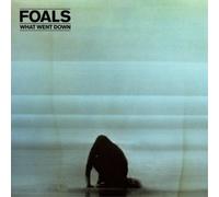 Foals - What Went Down [VINYL]