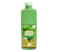Foam Hair Dye - 500ml Plant Extracts Ammonia Free, Natural Gray Coverage Bubble Color | Long-Lasting Dyeing Mousse For Women Men Salon Travel Home Frequent Travelers Busy