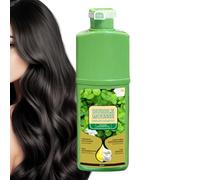 Foam Hair Dying, 500ml Bubble Mousse Shampoo, Natural Long-Lasting Plant Dying Mousse For Salon Bathroom Travel Home Women Men Frequent Travelers Busy Professionals