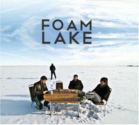 Foam Lake - Force and Matter