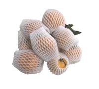 Foam Net Sleeve Pocket Shockproof Protection Transport Packing Wine Glass Bottle Fragile Items Vegetable Fruit Thicken Mesh Bag Easy to Operate (Color : 8x5CM)