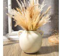 Fobule Rustic Ceramic Farmhouse Vase with 2 Handles, Small Decorative Terracotta Flower Vase for Living Room, Table Centerpiece, Shelf Decor, Farmhouse, Entryway - 14.8cm Tall, Vintage White