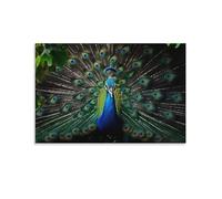 FOCCAR Canvas Wall Art Country Peacock Wall Decorations For Living Room Abstract Bird Feather Vintage Animals Hang Pictures Wall Artwork