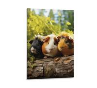 FOCCAR Small Guinea Pigs Printed Canvas Posters Nature Animal Landscape Wall Decor for Living Rooms Bedroom Wall Art