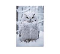 FOCCAR White Owl Wall Art Prints Modern Animal Snowy Bird Pictures on Canvas Poster Wall Decor for Bedroom Home Decorations