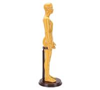Fockety Acupuncture Model, 52cm Full Body Precise Acupoint Positioning High Definition Engraving Acupoint Mannequin, Meridian Chart Model with Base and Illustrated Manual for Students (Man)